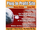 Quit the 9-5: Discover Real Ways to Earn Online Today!