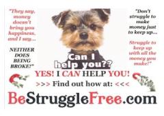 Do you want to start a fully automated business online for as low as $100 to make 100% Profit?