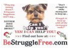 Do you want to start a fully automated business online for as low as $100 to make 100% Profit?