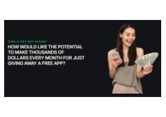 Travel and earn money daily!