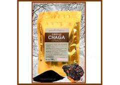 Wholesale Freeze-Dried Chaga Extract - Direct from Siberia